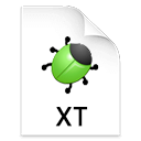 XT ICON