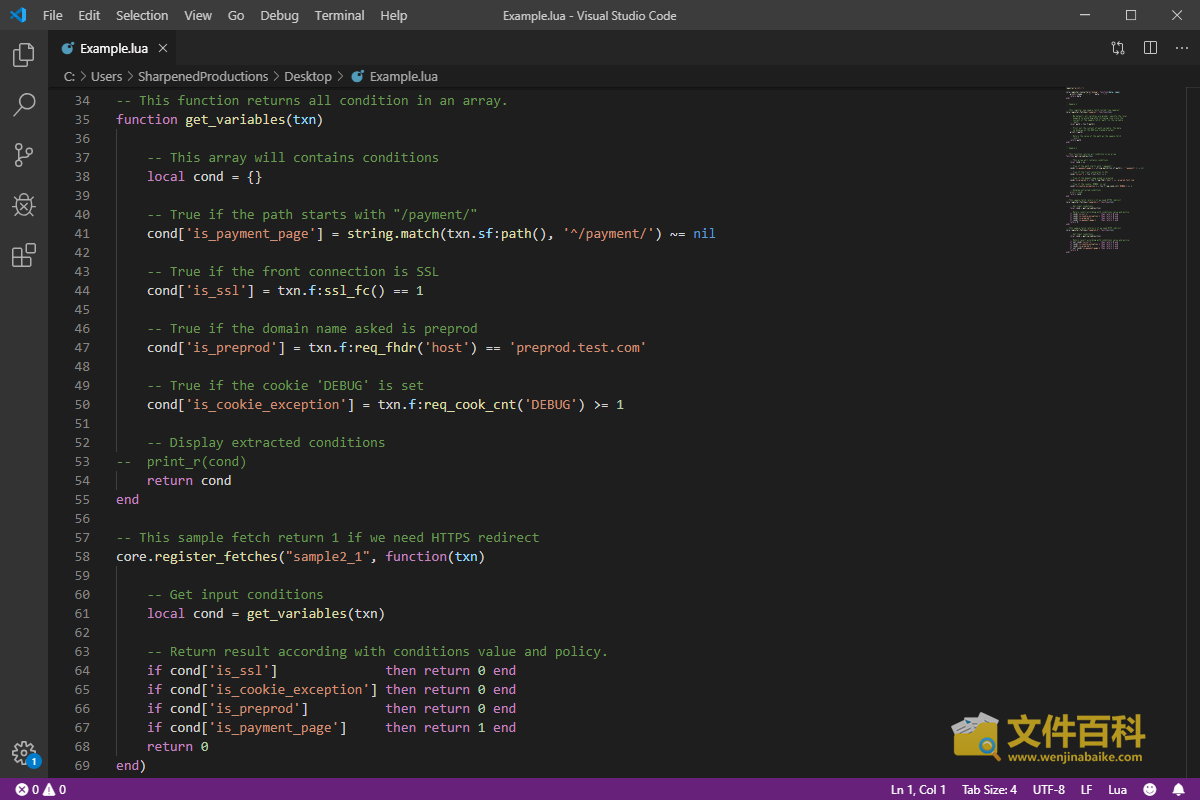 Visual Studio Code中打开的LUA文件