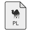 PL ICON