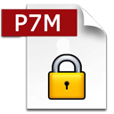 P7M ICON