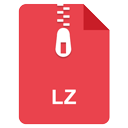 LZ ICON