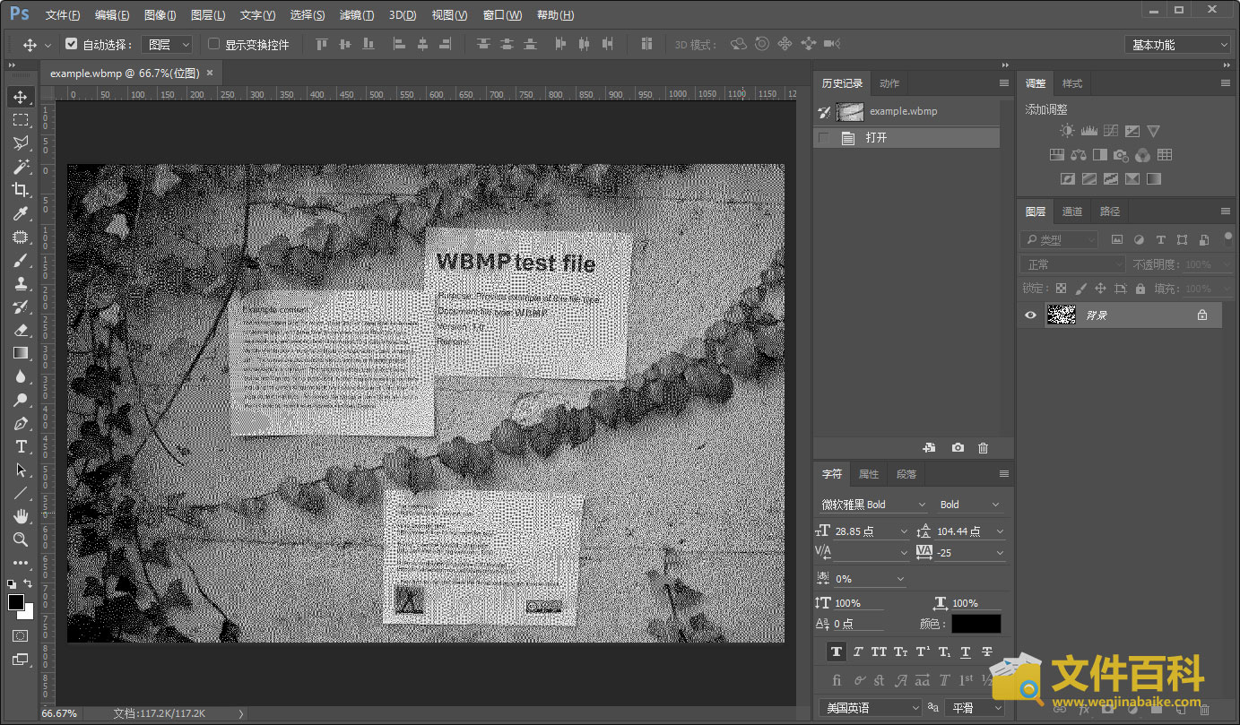 Photoshop中打开的WBMP文件
