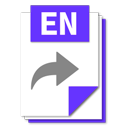 ENF ICON