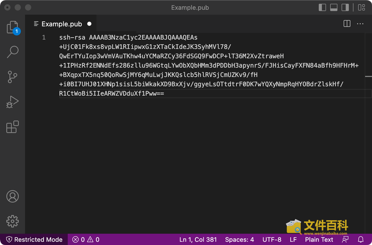 Visual Studio Code中打开的PUB文件