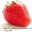 Strawberry Perl icon