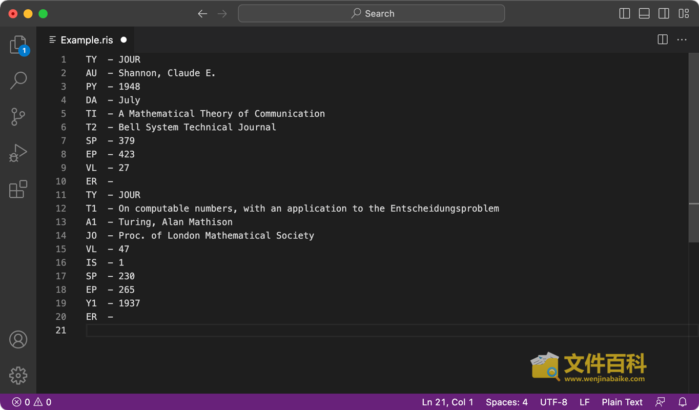 Visual Studio Code中打开的RIS文件