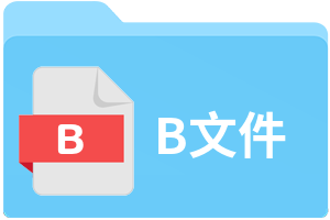 B文件