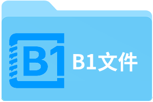 B1文件