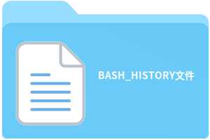 BASH_HISTORY文件