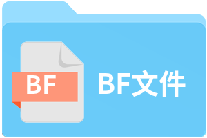 BF文件