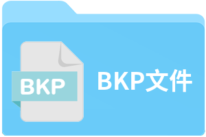 BKP文件