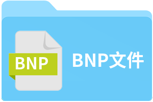 BNP文件
