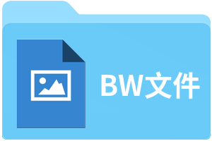 BW文件