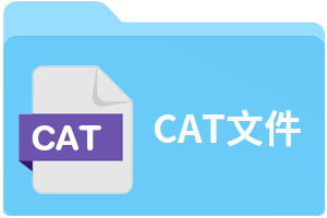CAT文件