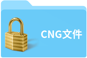 CNG文件
