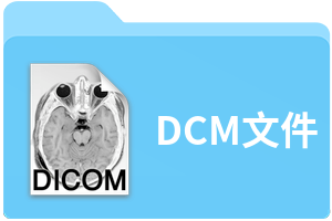 DCM文件