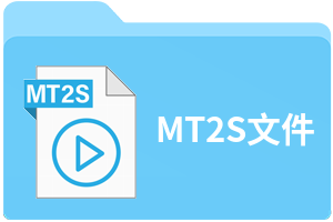 MT2S文件