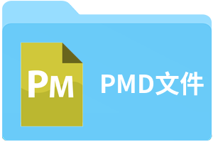 PMD文件