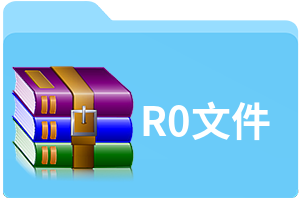 R0文件
