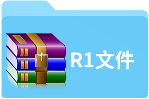 R1文件