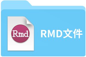 RMD文件