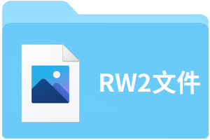 RW2文件