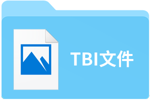 TBI文件