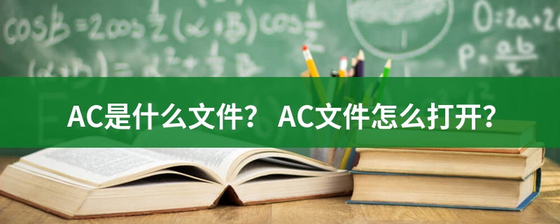 是什么文件
