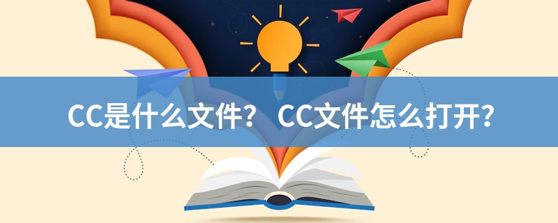 是什么文件