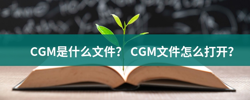 是什么文件