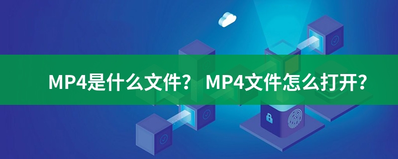 是什么文件