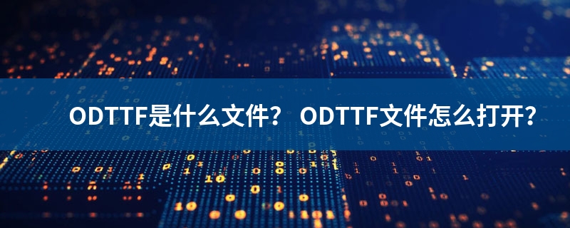 是什么文件