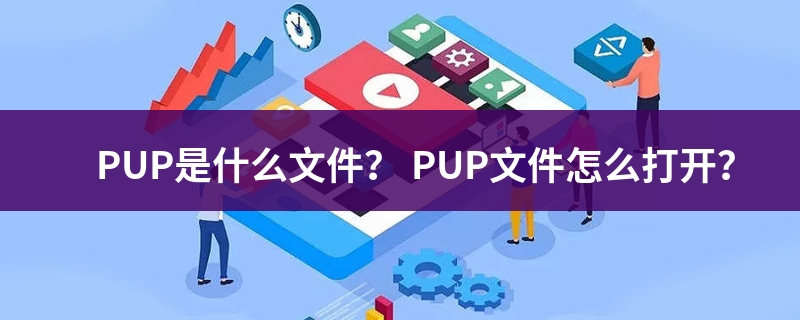 是什么文件